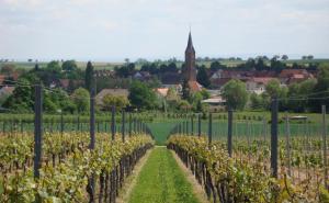 No.31 B&B im Rosengarten