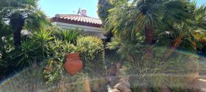 Jungle House - Pineta Is Morus