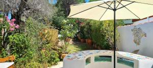 Jungle House - Pineta Is Morus