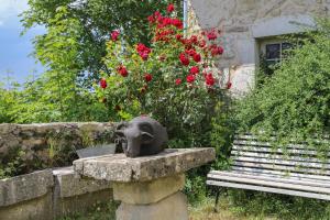 B&B / Chambres d'hotes Chateau de Sothonod : photos des chambres