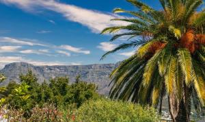 Villa Viva Cape Town