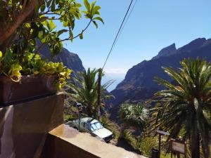 Live masca casatarucho