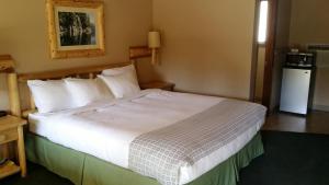 Deluxe King Room room in Wildwood Inn