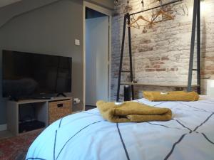 Les Volets Bleus - Refaits a neuf, deux appartements et un studio, Jardin : photos des chambres