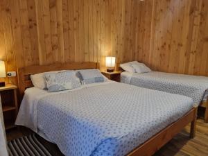 Apart Hotel Antu de Villarrica