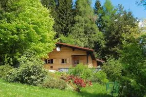 Holiday home Schneider, Rinchnach - Rinchnach