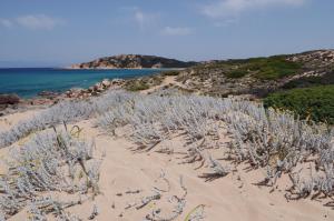 Residence Lu Lamoni Costa Nord img48