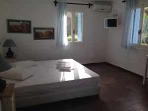 Antigoni Studios Skyros Greece