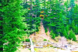 Cedar stream house - Jibhi