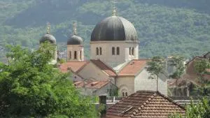 Apartments Moskov - Njeguši