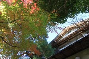 Atami Roji Kaede -熱海 路地楓- 温泉付 ペット可