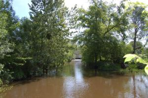 Le Moulin Neuf photo 21