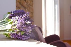 Guest House Villa Dagmar