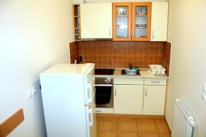 Apartments and Studios Perunika