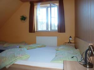 Penzion U Horejšů, Zadov - Churáňov