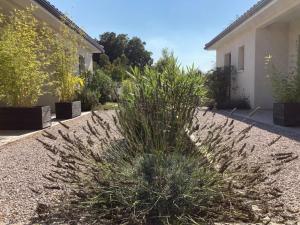 Appartements Les Jardins d'Oc - Wifi, Terrasse et Jardinet - Appart T2 neuf : photos des chambres