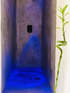 Galanis Sweet Home Milos