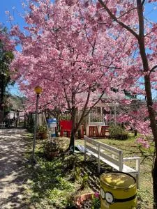 桃山渡假農場 - Ta-neng-nan-she