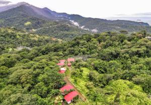 Nature's Edge Cabinas, Uvita