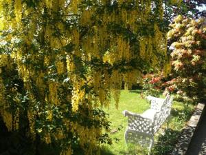 Charlemont House Moy Self Catering With Hot Tub Optional