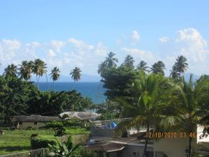 Pelicano Tropical Paraiso Samana