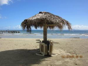 Pelicano Tropical Paraiso Samana