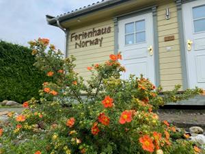 Ferienhaus Norway