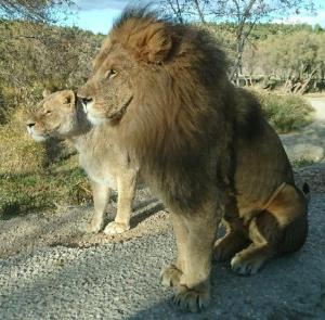 Appartements APPARTEMENT 6 PERSONNES : photos des chambres