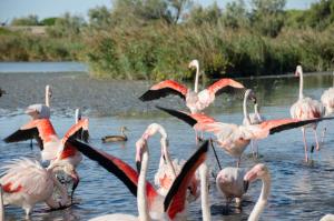Appartements APPARTEMENT 6 PERSONNES : photos des chambres