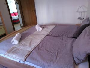 Four Season Apartment Irene