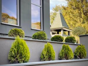 Kvitka Polonyny Apartamenty