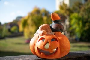 FodorMenta Residence