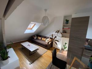 Appartements Appartement hyper centre cathedrale avec parking gratuit : photos des chambres