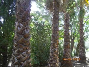 Areti & Maria Apartments Lakonia Greece