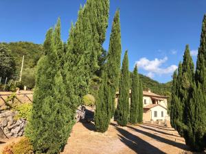 Il Borgo delle Stelle