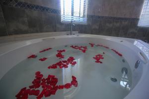 Luxury 10 Bedroom Villa-Millbrooks