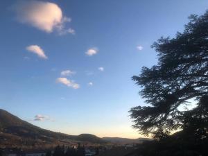 B&B / Chambres d'hotes Les Horizons - SPA-JACUZZI - MASSAGE- SAUNA - 4 SAISONS - Piscine chauffee Toute l'annee - 800m centre ville Nyons : photos des chambres