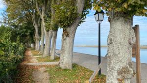 Maisons de vacances P'tit Somme en Baie : photos des chambres