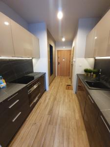 Nowe Ptasie Osiedle Ptasie apartment 30 Katowice