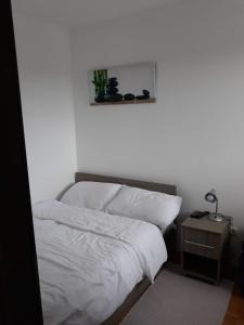 Apartman Kraljevi cardaci 5b-32