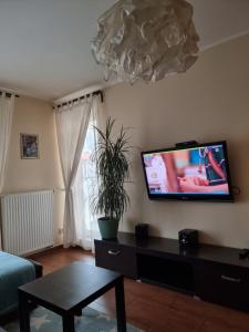 Apartament Central Park