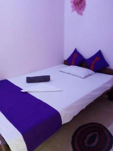 Evening Star Guest Inn