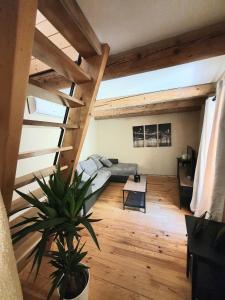 Appartements Le p'tit coin : photos des chambres