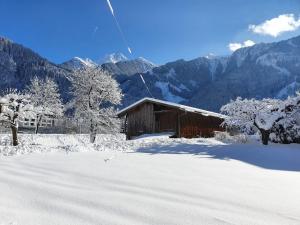LANDHAUS DORNAU Apartments