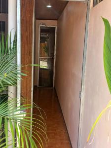 Apartamentos y Studios Brisas del Mar Santa Teresa