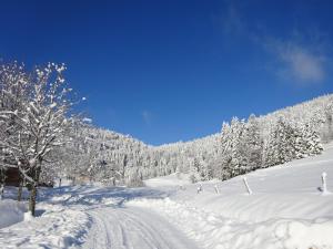 B&B / Chambres d'hotes Les Sapins : photos des chambres