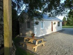 Birchdale Cottage - Laragh