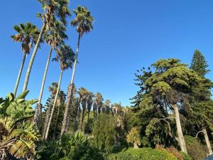 Belém Fantastic Triplex House