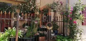 FeWo Winzerhaus 1900 - Böchingen