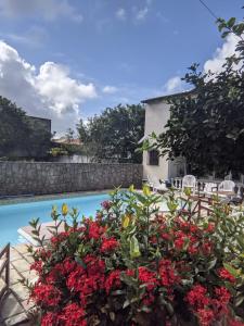 Hostel Iguabella - RJ